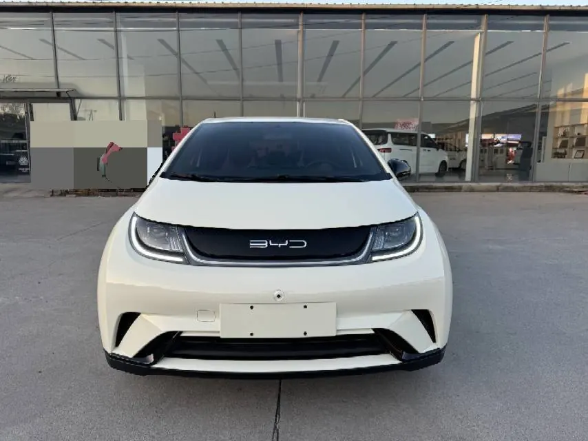 BYD 2023 Dolphins 420km Free Edition Automatic 2