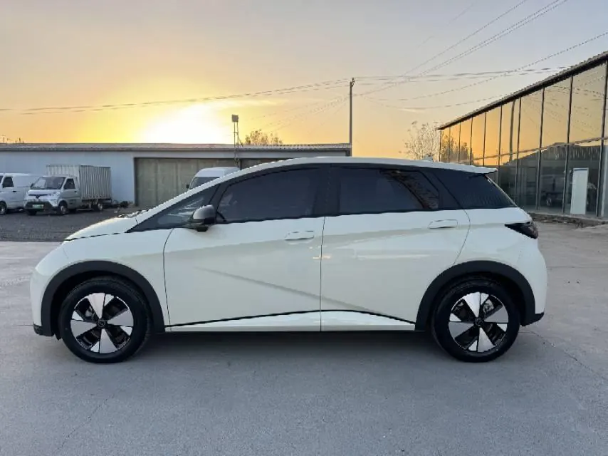 BYD 2023 Dolphins 420km Free Edition Automatic 3