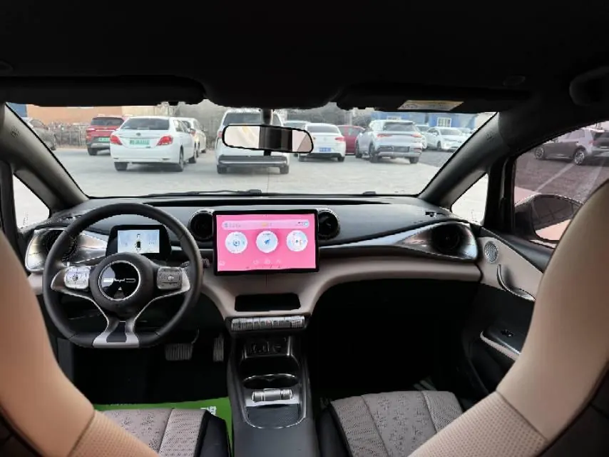 BYD 2023 Dolphins 420km Free Edition Automatic 6