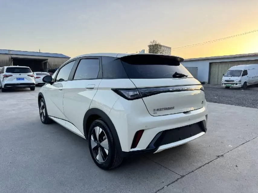 BYD 2023 Dolphins 420km Free Edition Automatic 8