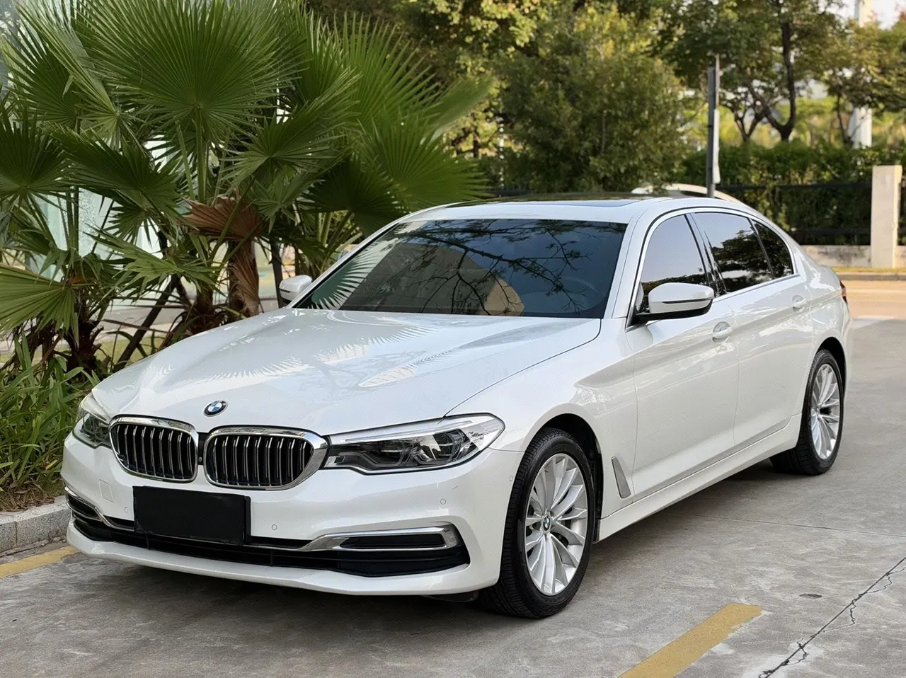 Open image lightbox: BMW 5 Series 2020 530Li 2.0T Leading Luxury Suit Automatic Gear