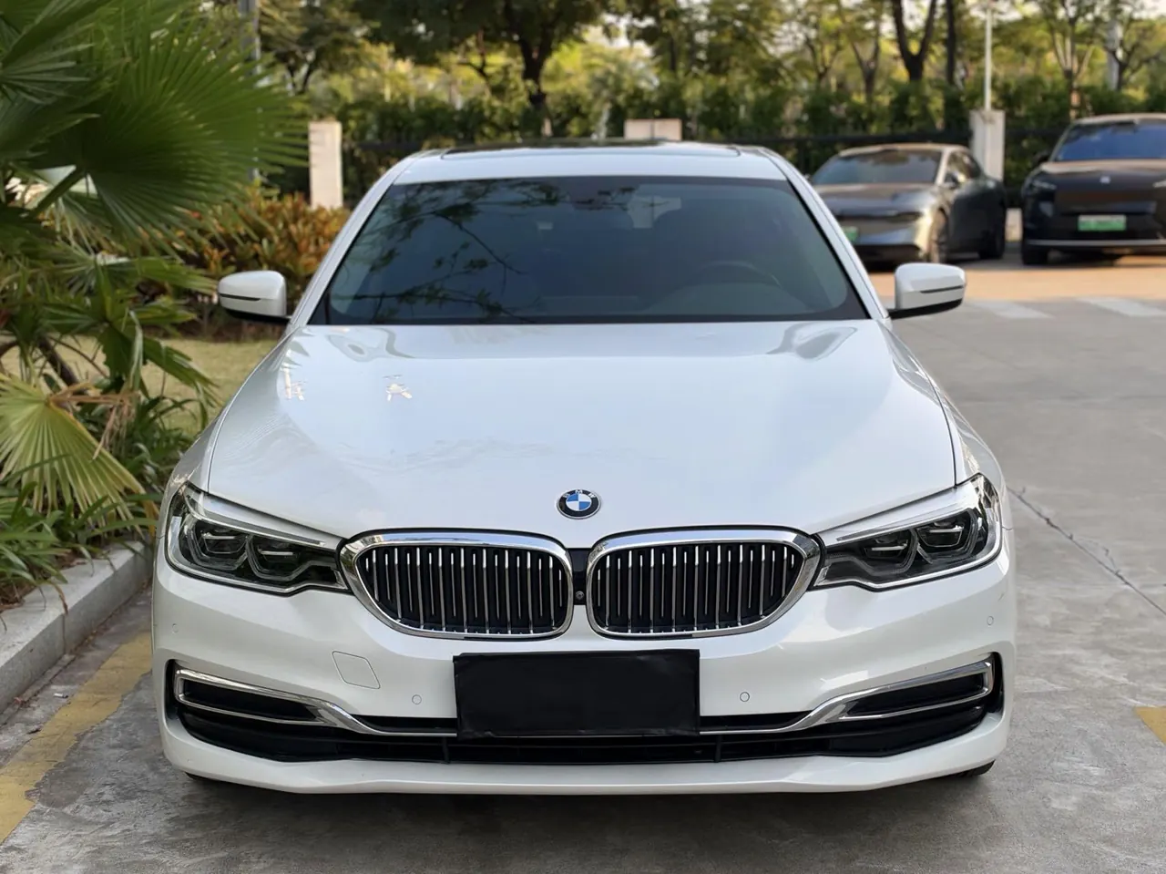 BMW 5 Series 2020 530Li 2.0T Leading Luxury Suit Automatic Gear 2