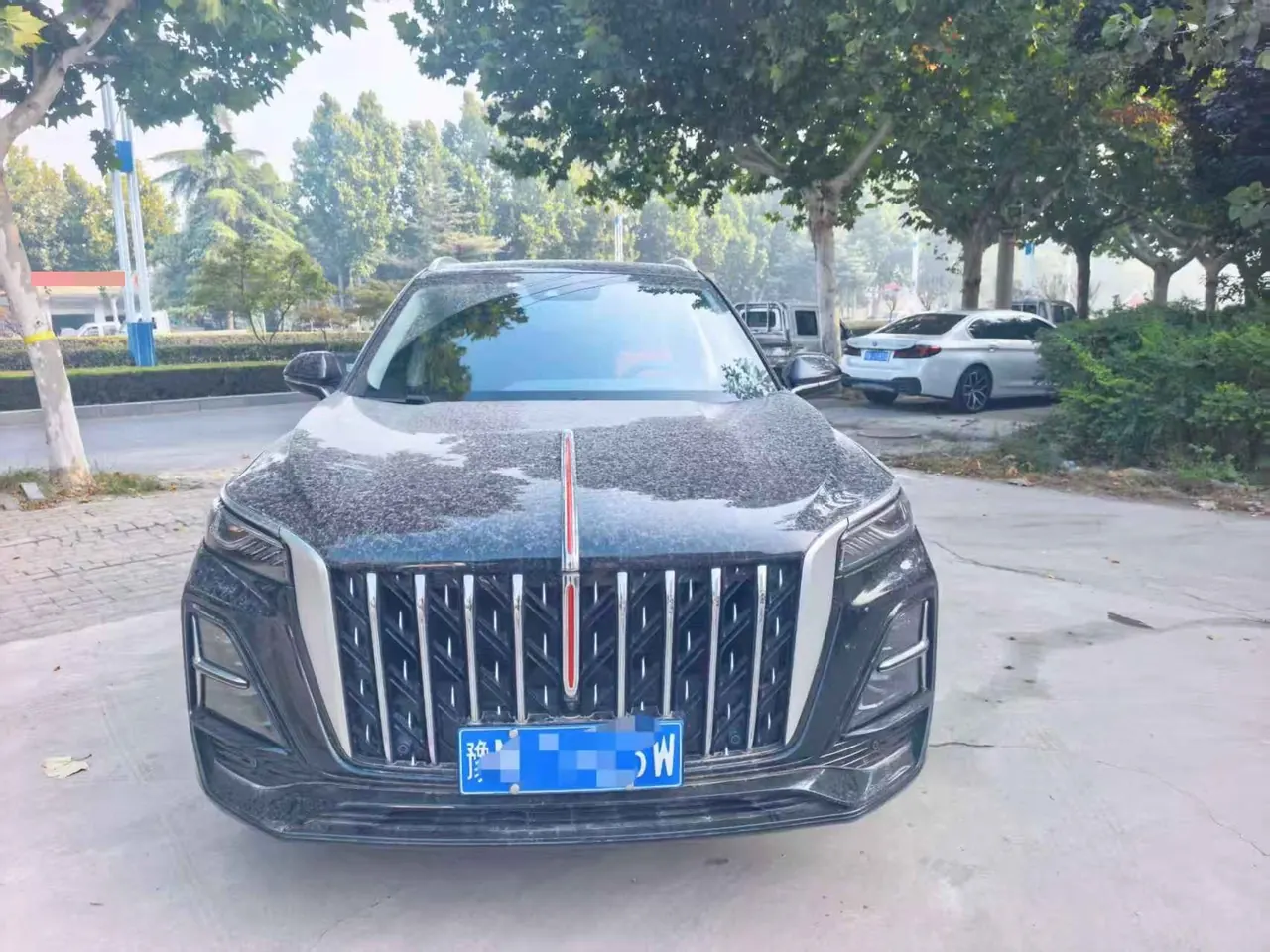 HongQi 2025 HS5 2.0T Two-Drive Flag Enjoy Pro Edition Automatic Gear 5