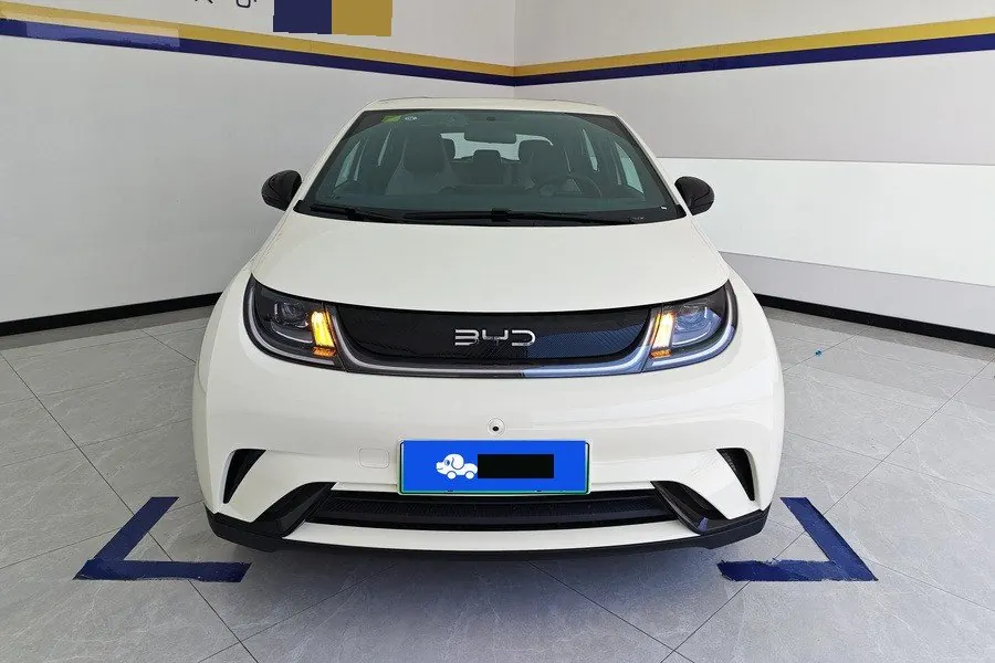BYD 2025 Dolphins 420km Free Edition Automatic 3