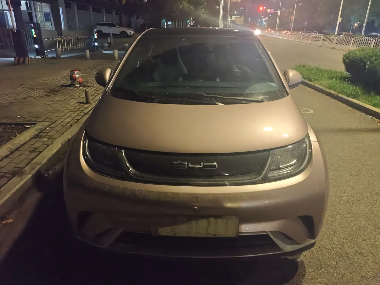 BYD 2021 Dolphin 405km Fashion Edition Automatic 2