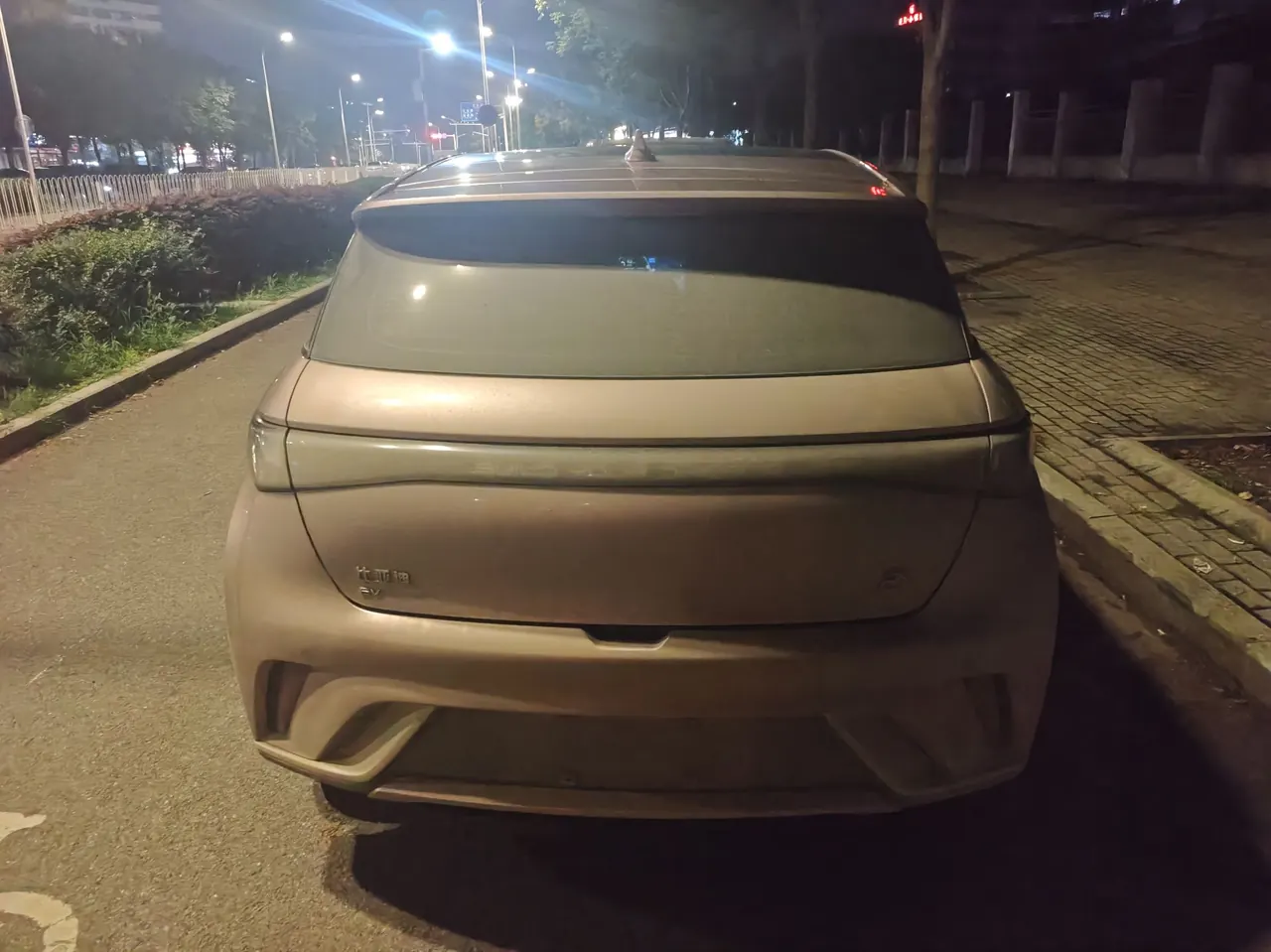 BYD 2021 Dolphin 405km Fashion Edition Automatic 5