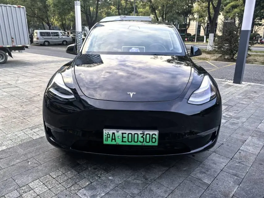 Tesla 2021 Model Y Standard Endurance Rear Drive Automatic Gear 2