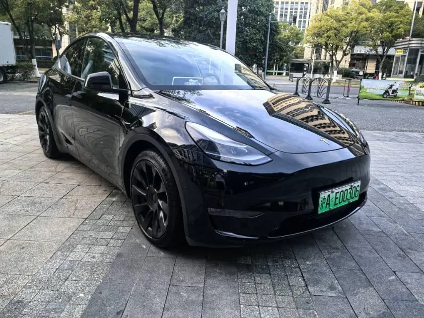 Tesla 2021 Model Y Standard Endurance Rear Drive Automatic Gear 3