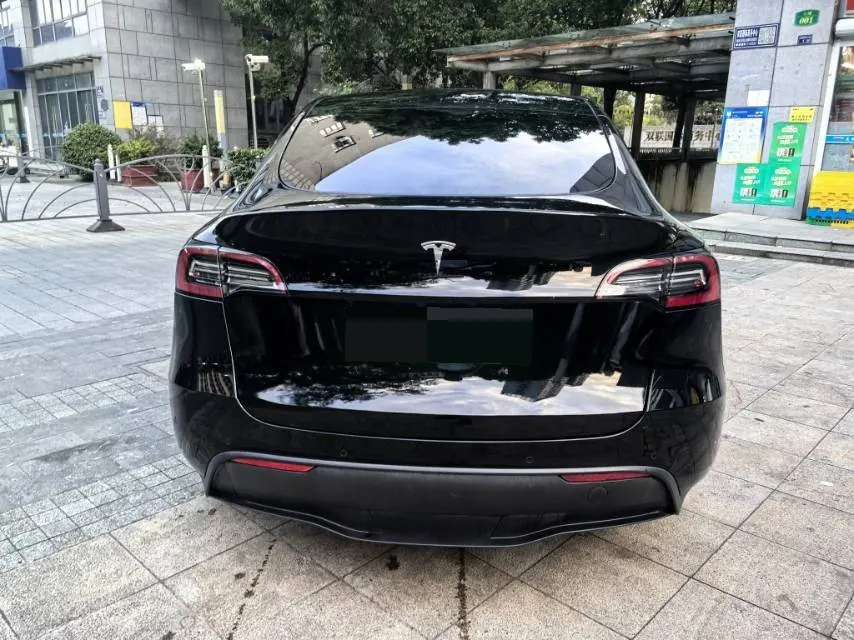 Tesla 2021 Model Y Standard Endurance Rear Drive Automatic Gear 8