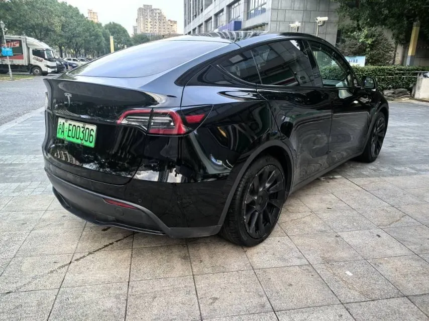 Tesla 2021 Model Y Standard Endurance Rear Drive Automatic Gear 9