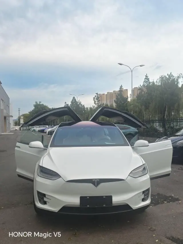 Tesla Model X (Imported) 2021 Model X Long Endurance Upgraded Automatic Gear 4