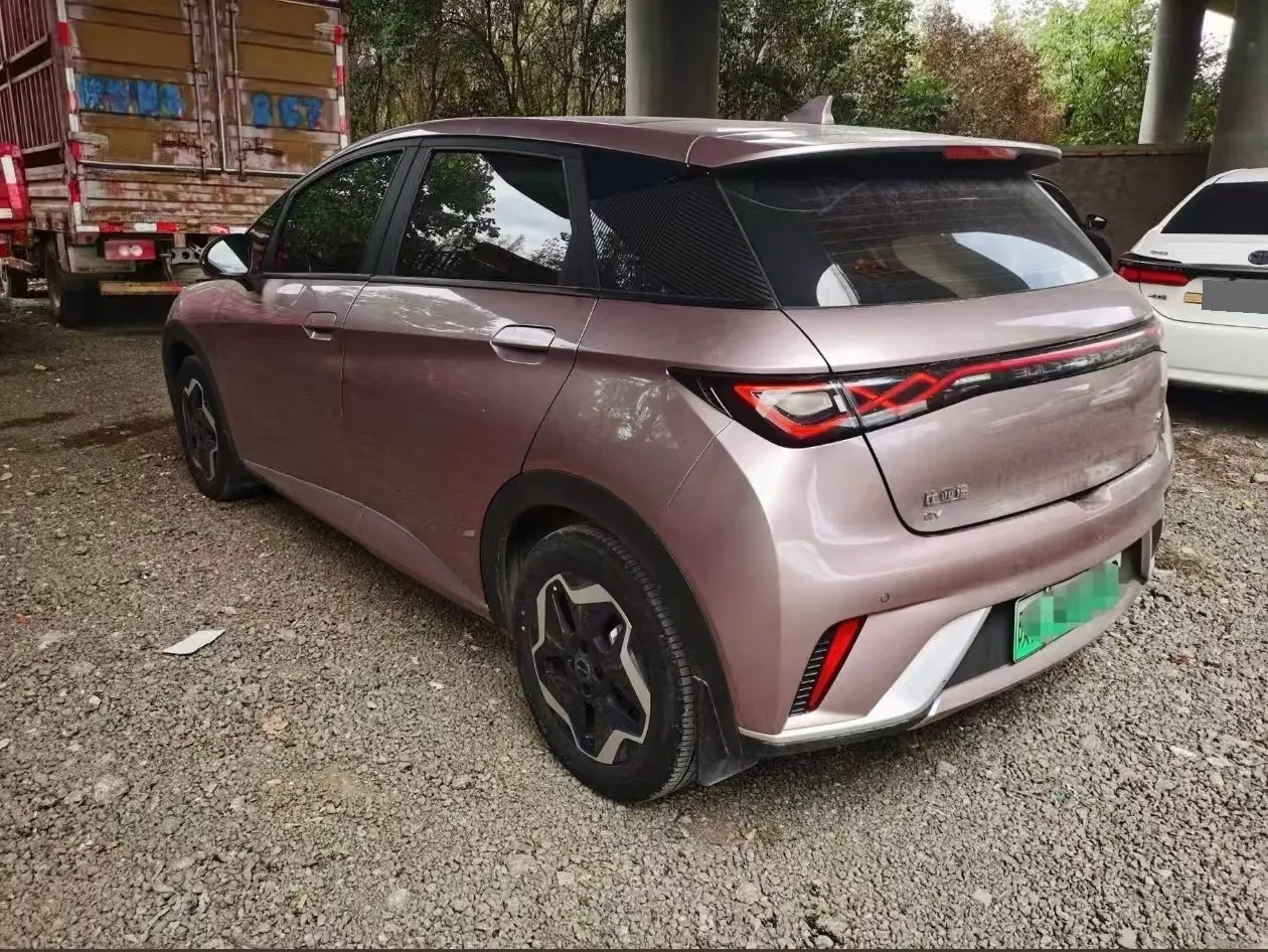 BYD 2021 Dolphin 405km Fashion Edition Automatic 5