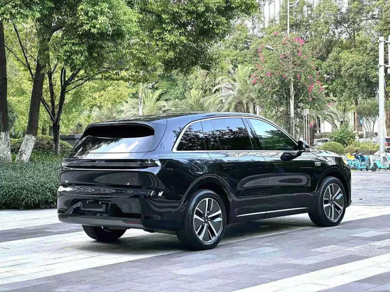Li 2024 L6 Pro automatic gear 3
