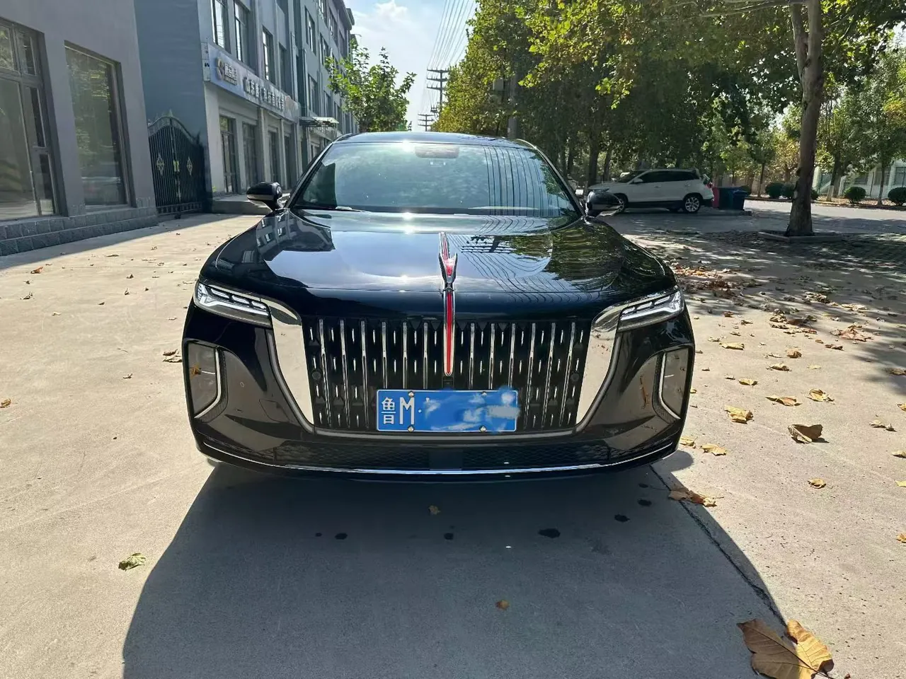 HongQi 2025 H9 48V 2.0T Two-Drive Flag Enjoy Deluxe Business Edition 5-seat Automatic Gear 3