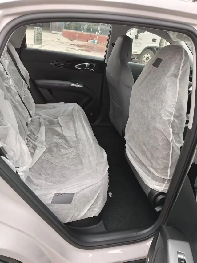 Geely 2026 Star Wish 310km Yearning Edition Automatic Gear 7