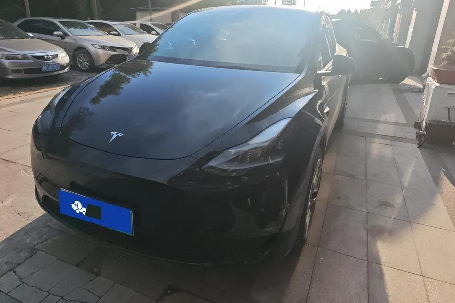 Open image lightbox: Tesla 2021 Model Y Standard Endurance Rear Drive Automatic Gear