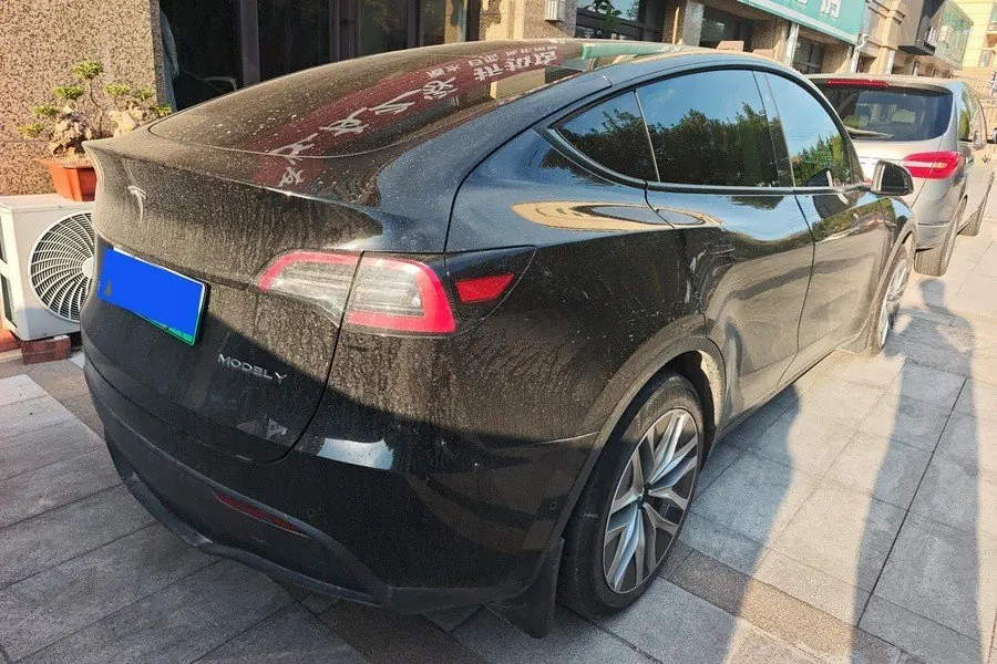Tesla 2021 Model Y Standard Endurance Rear Drive Automatic Gear 2