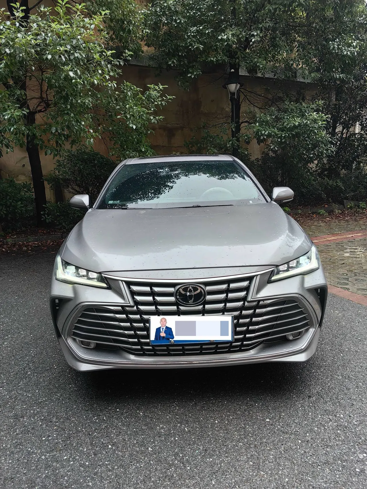 Toyota 2024 Asian Dragon 2.0 Stepless Enterprising Edition Automatic Gear 2
