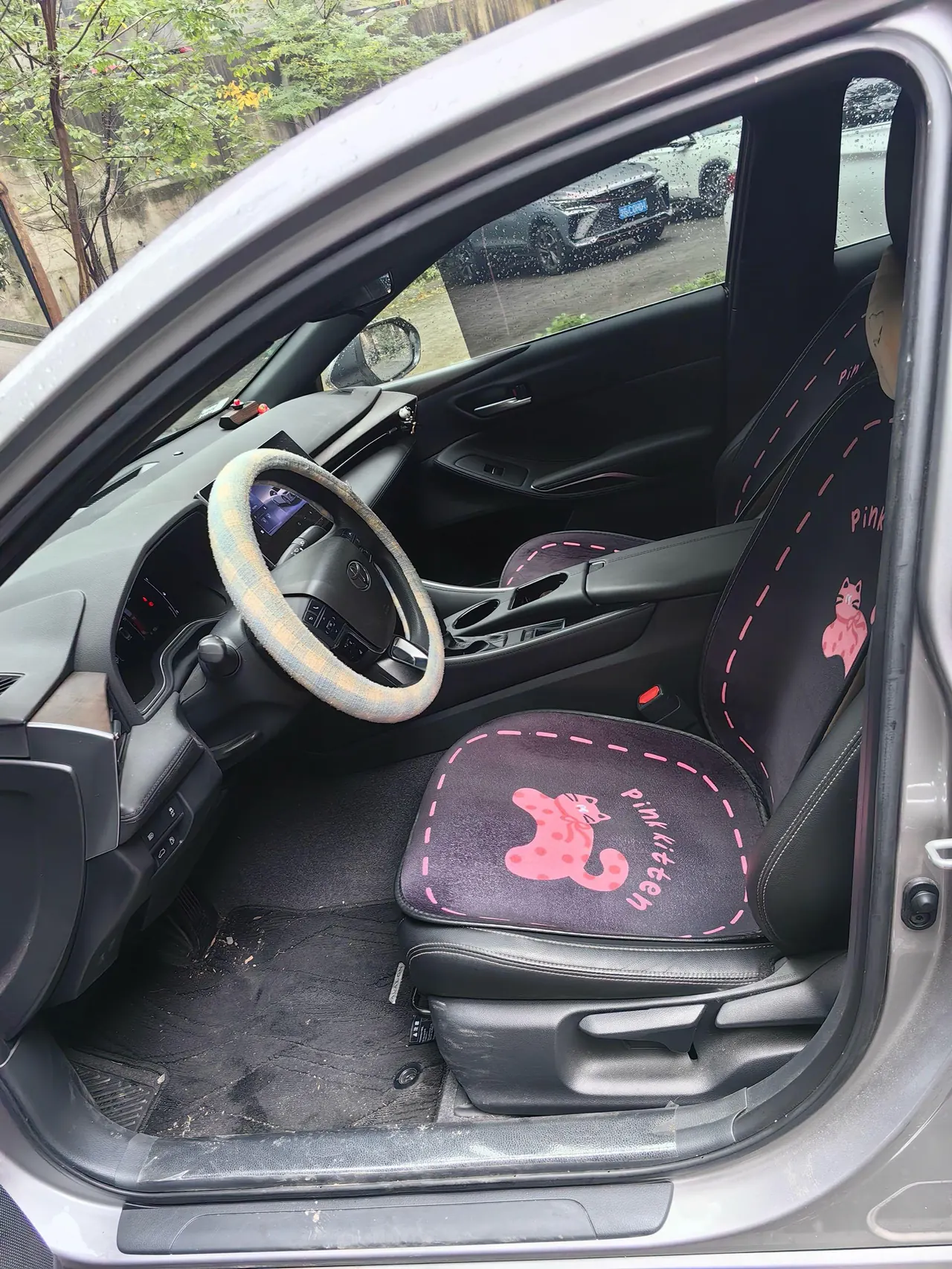 Toyota 2024 Asian Dragon 2.0 Stepless Enterprising Edition Automatic Gear 9
