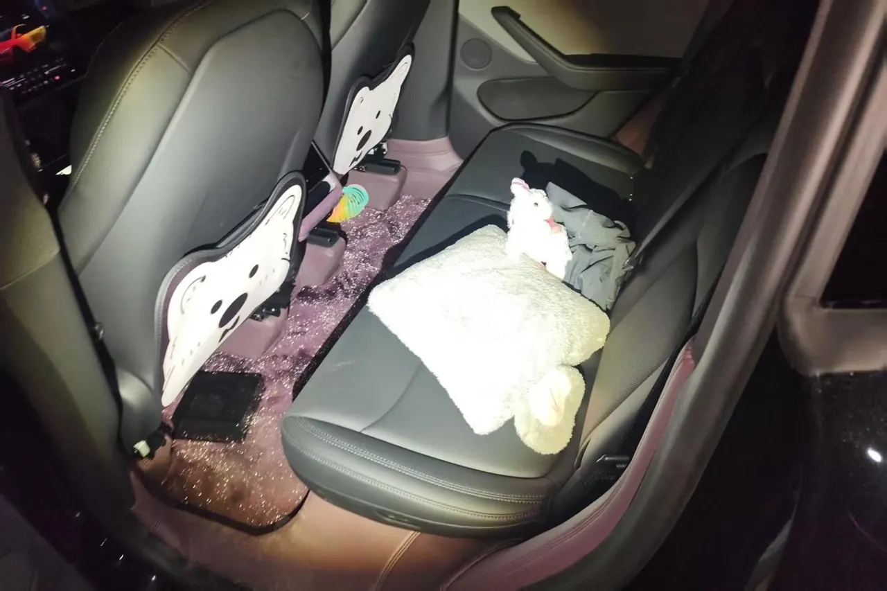 Tesla 2026 Model Y Rear-Wheel-Drive Automatic 3