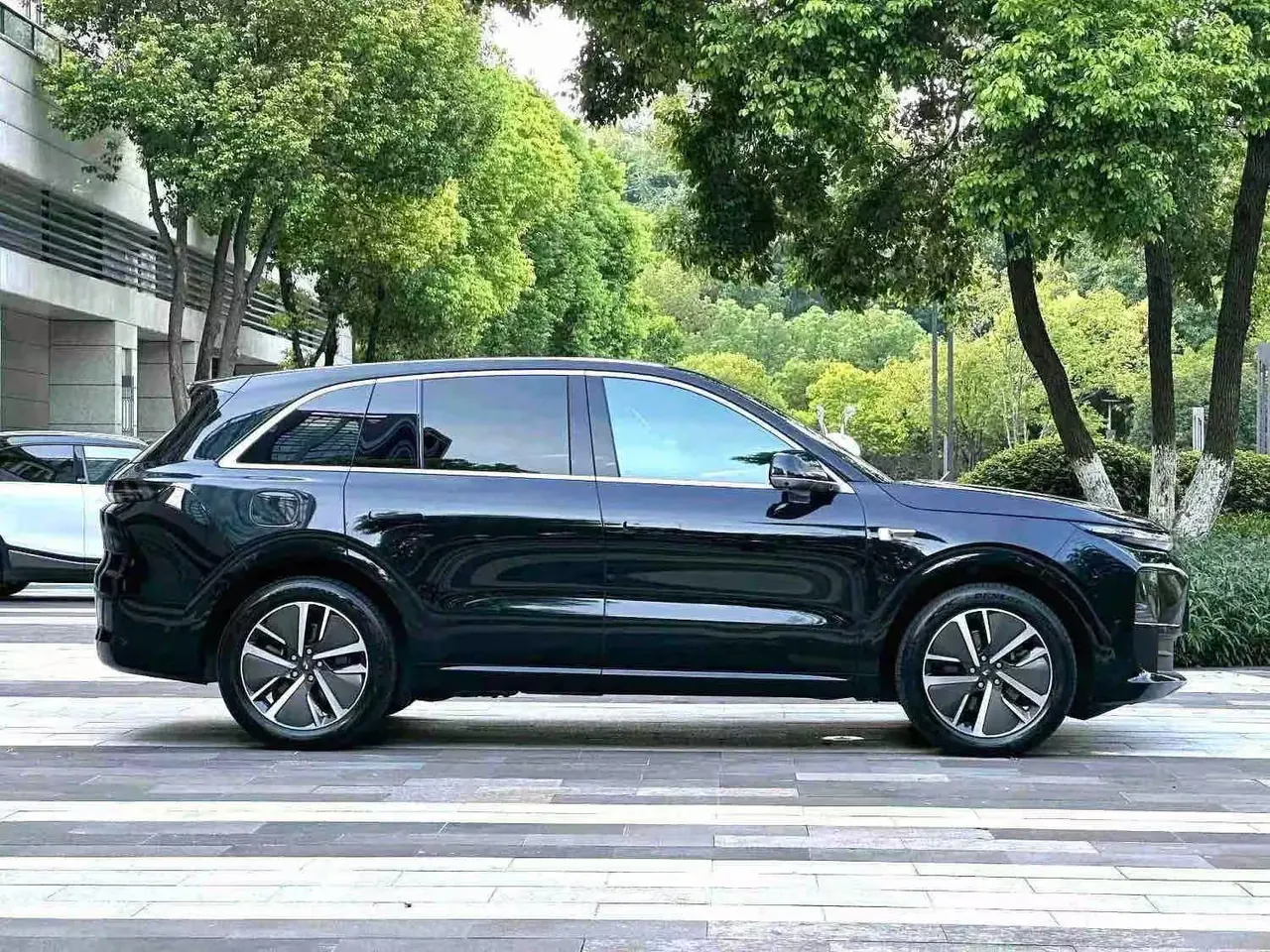 Li 2024 L6 Pro automatic gear 2