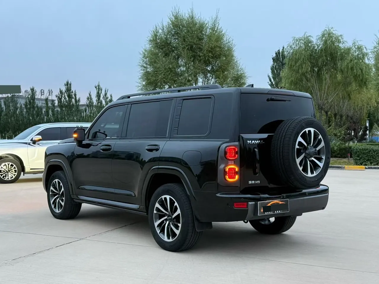 Haval 2024 H9 2.0T Four-wheel Drive Extreme Edition Automatic Gear 10
