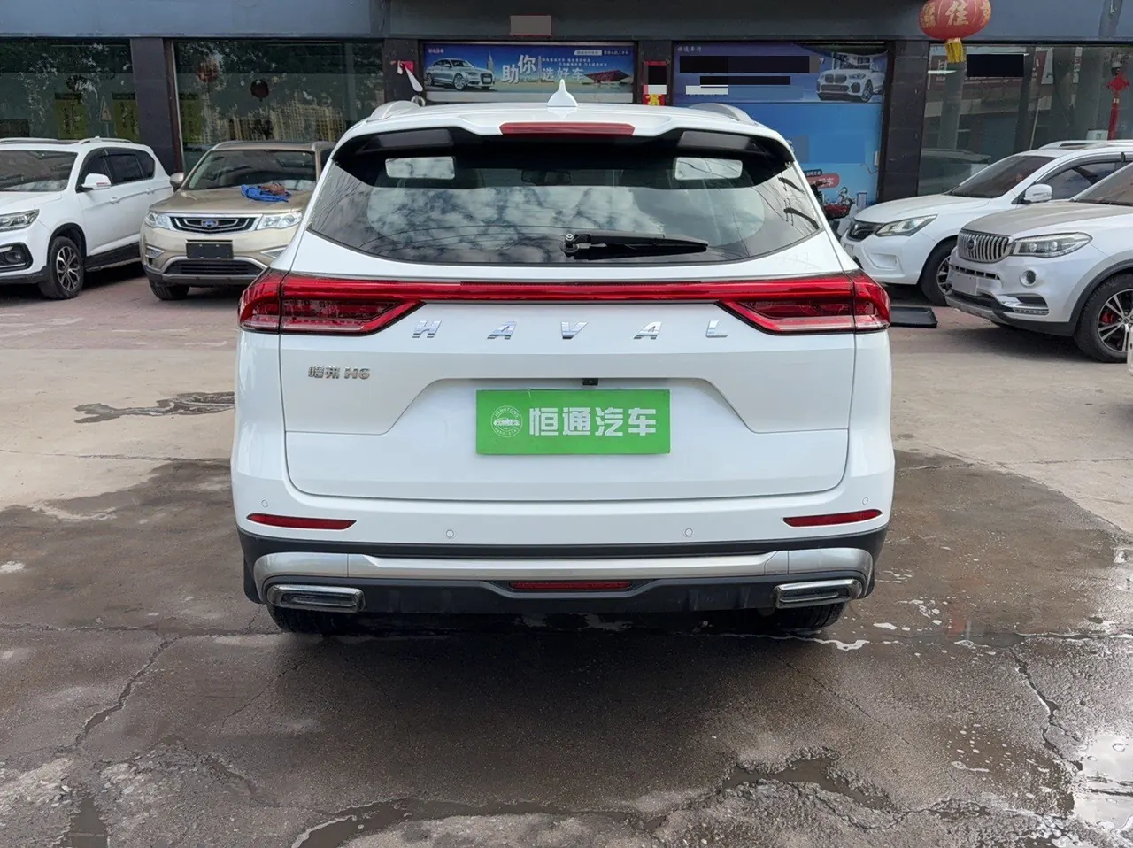 Haval 2021 H6 1.5T National Tide Champion Edition Automatic Gear 13