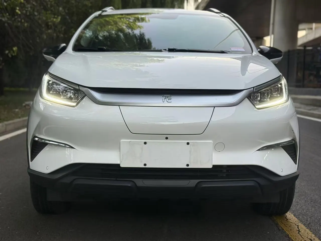 BYD Yuan Pro 2021 Yuan Pro 401KM Honorable Automatic Gear 2