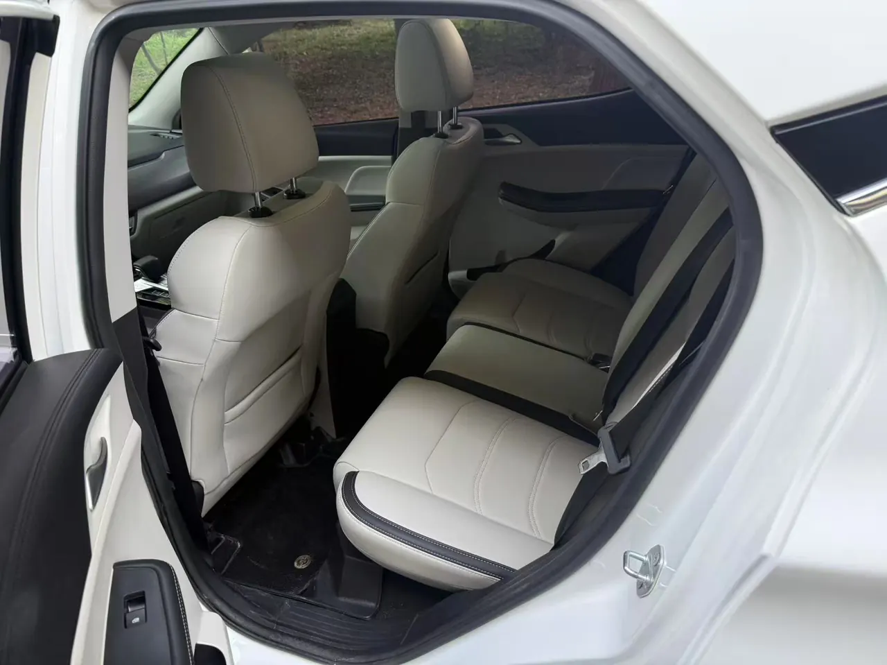 BYD Yuan Pro 2021 Yuan Pro 401KM Honorable Automatic Gear 4