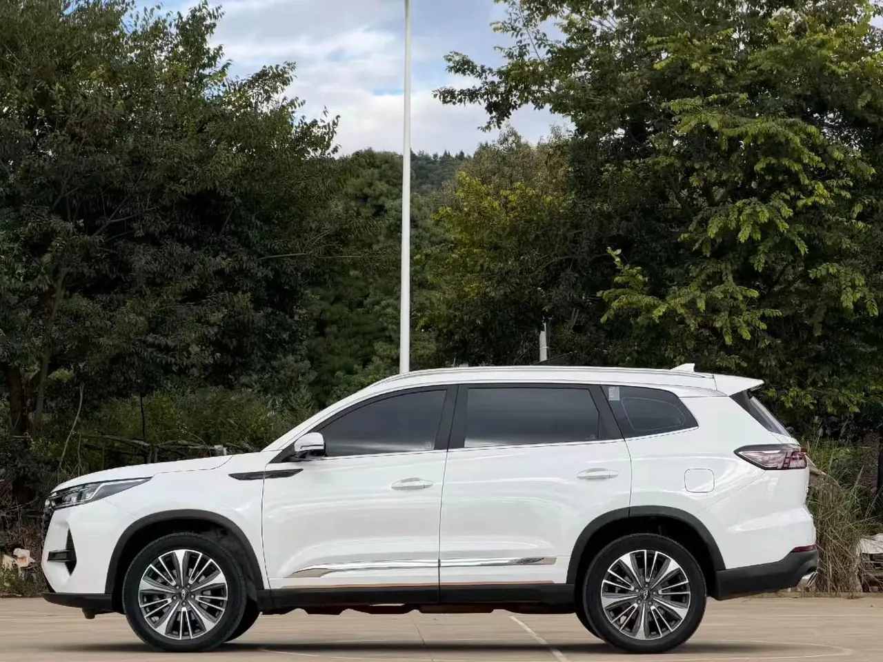 Chery 2024 Ruihu 8 PRO 2.0T 390T Champion Edition 4-wheel Drive Peak Edition 7-seat Automatic Gear 8