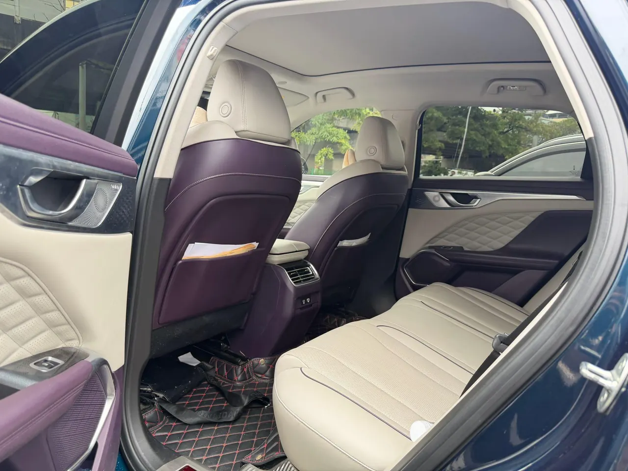 WEY 2021 mocha 48V 2.0T two-wheel drive extra-thick automatic gear 8