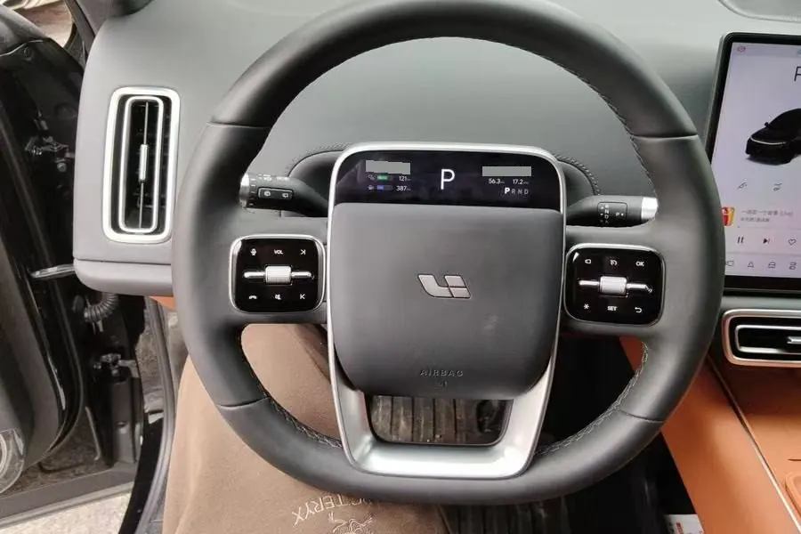 Li 2025 L6 Pro Intelligent Rejuvenation Automatic Gear 4