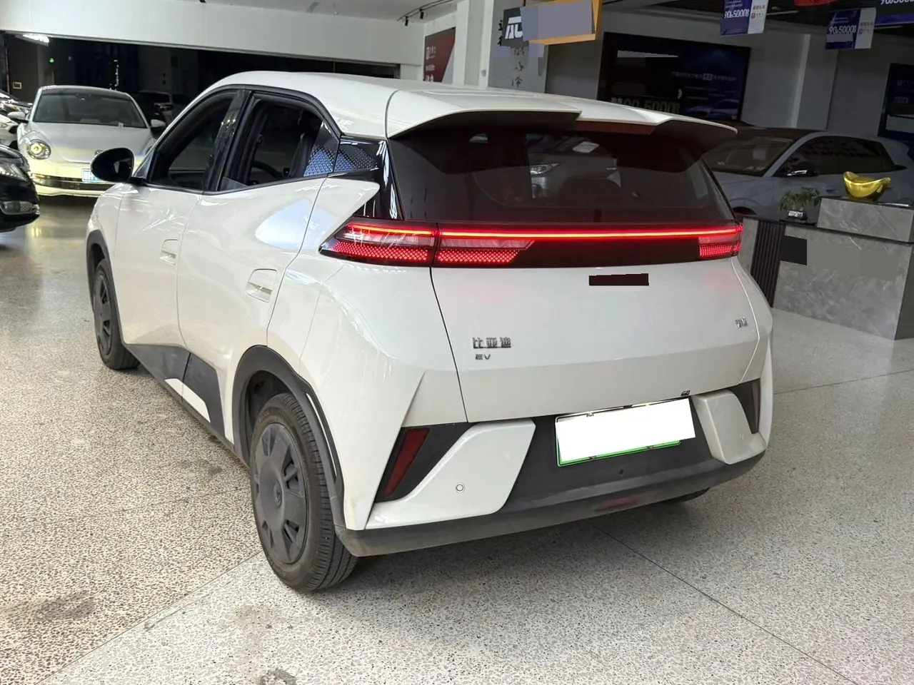 BYD 2025 seagulls 305km dynamic version of automatic gear 4