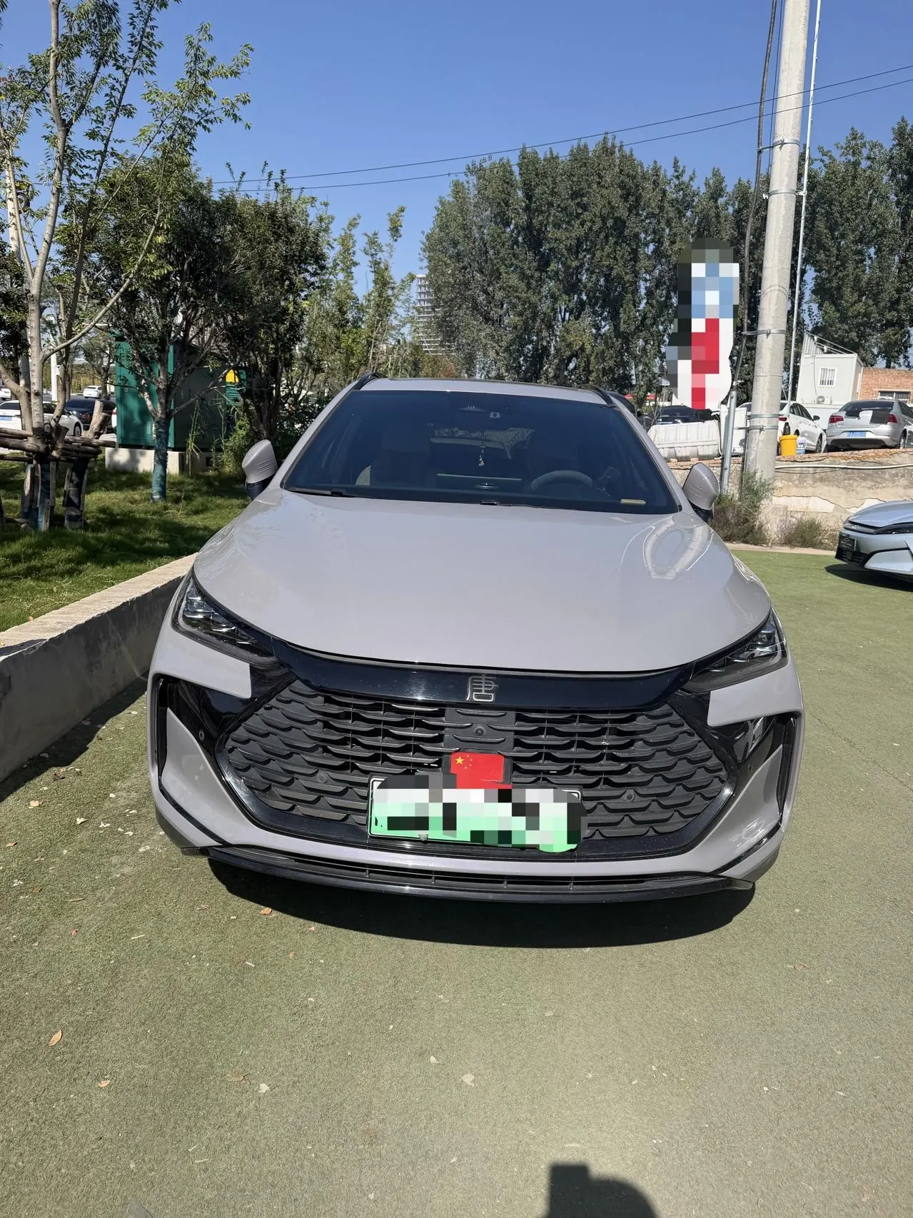 BYD Tang New Energy 2025 Tang DM-i 1.5T Stepless 115KM Honorable Automatic Gear 2