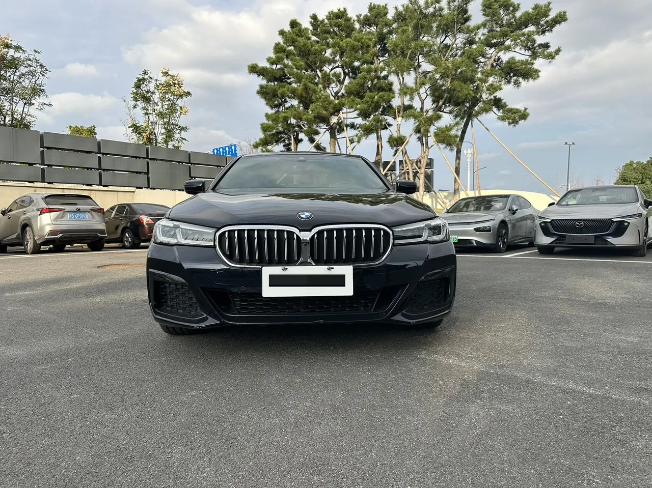 BMW 5 Series 2023 530Li 2.0T Exclusive M Sports Suit Automatic Gear 2