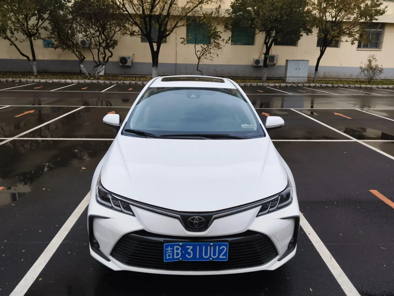 Toyota 2023 corolla 1.2T stepless elite version of automatic gear 2