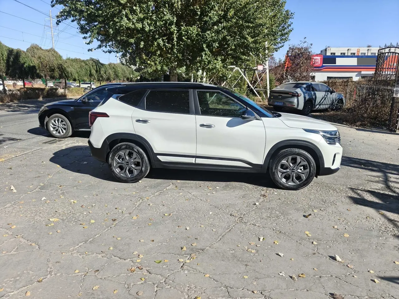 Kia 2023 Setus 1.5 Stepless Deluxe Edition Automatic Transmission 4