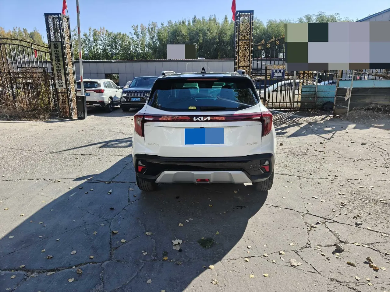Kia 2023 Setus 1.5 Stepless Deluxe Edition Automatic Transmission 7