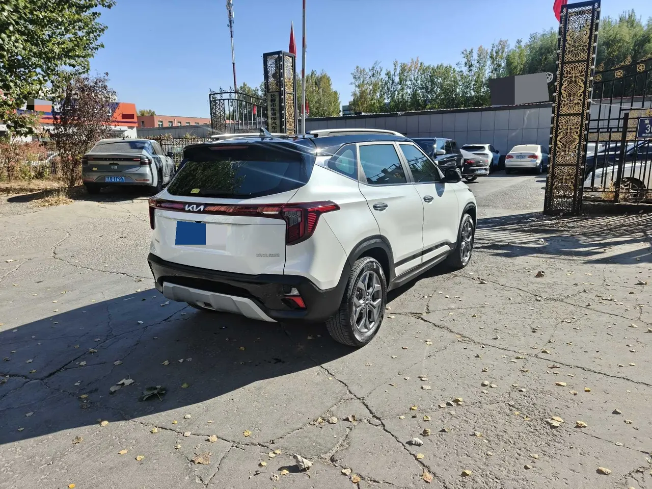Kia 2023 Setus 1.5 Stepless Deluxe Edition Automatic Transmission 8