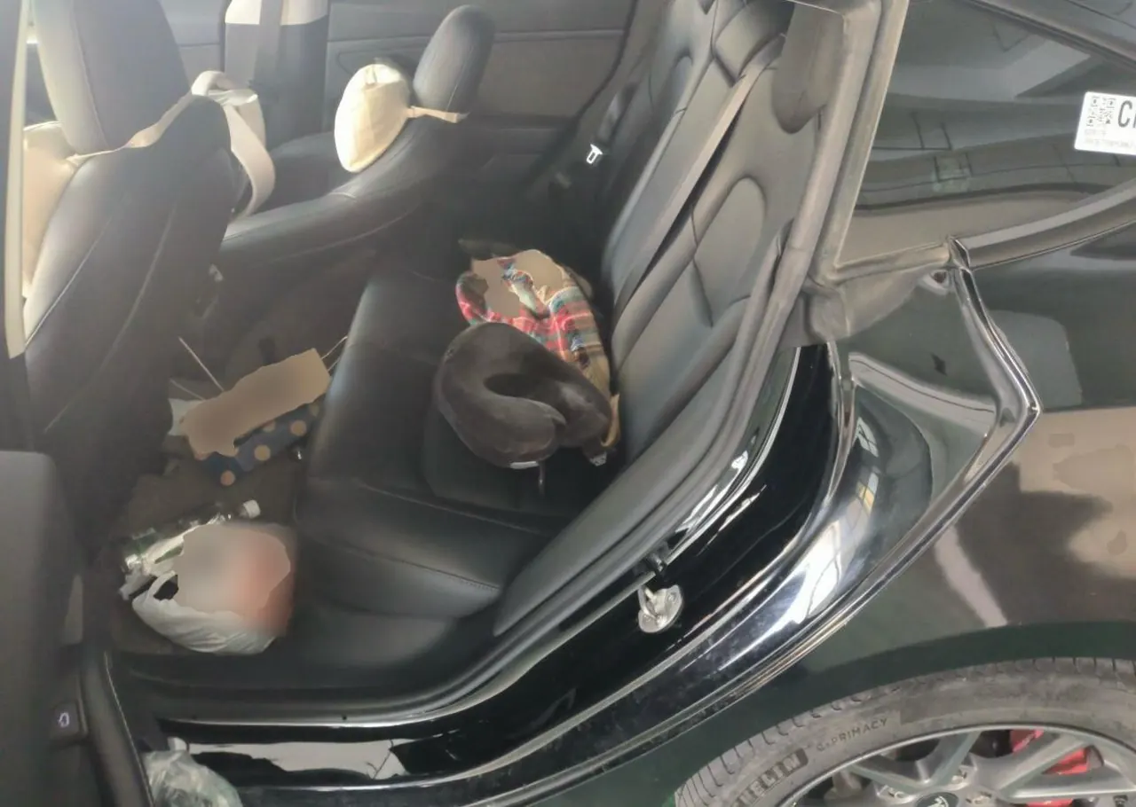 Tesla 2022 Model 3 rear-wheel drive version of automatic transmission 3