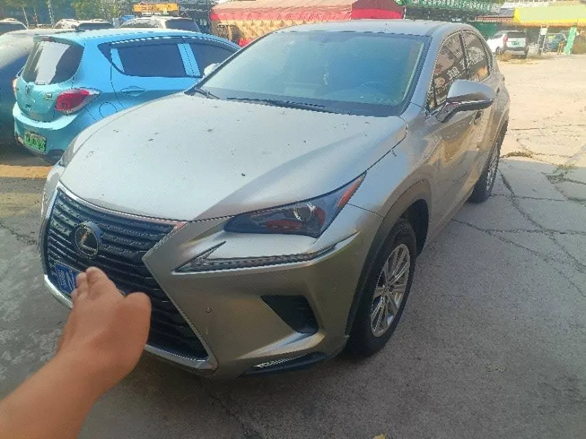 Lexus NX (Imported) 2020 NX200 2.0 Stepless Front Edition Automatic Gear - View 1