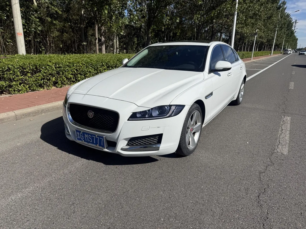 Jaguar 2020 XFL 2.0T P 10000.00g Drive Elite Automatic Gear - View 1