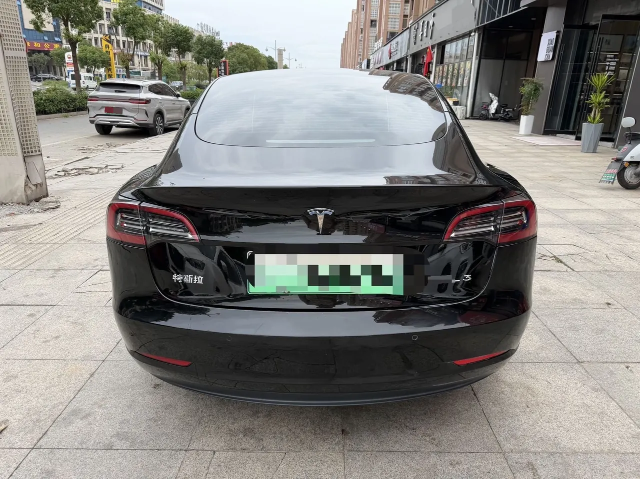 Tesla 2021 Model 3 Standard Endurance Rear Drive Upgraded Automatic Gear 4
