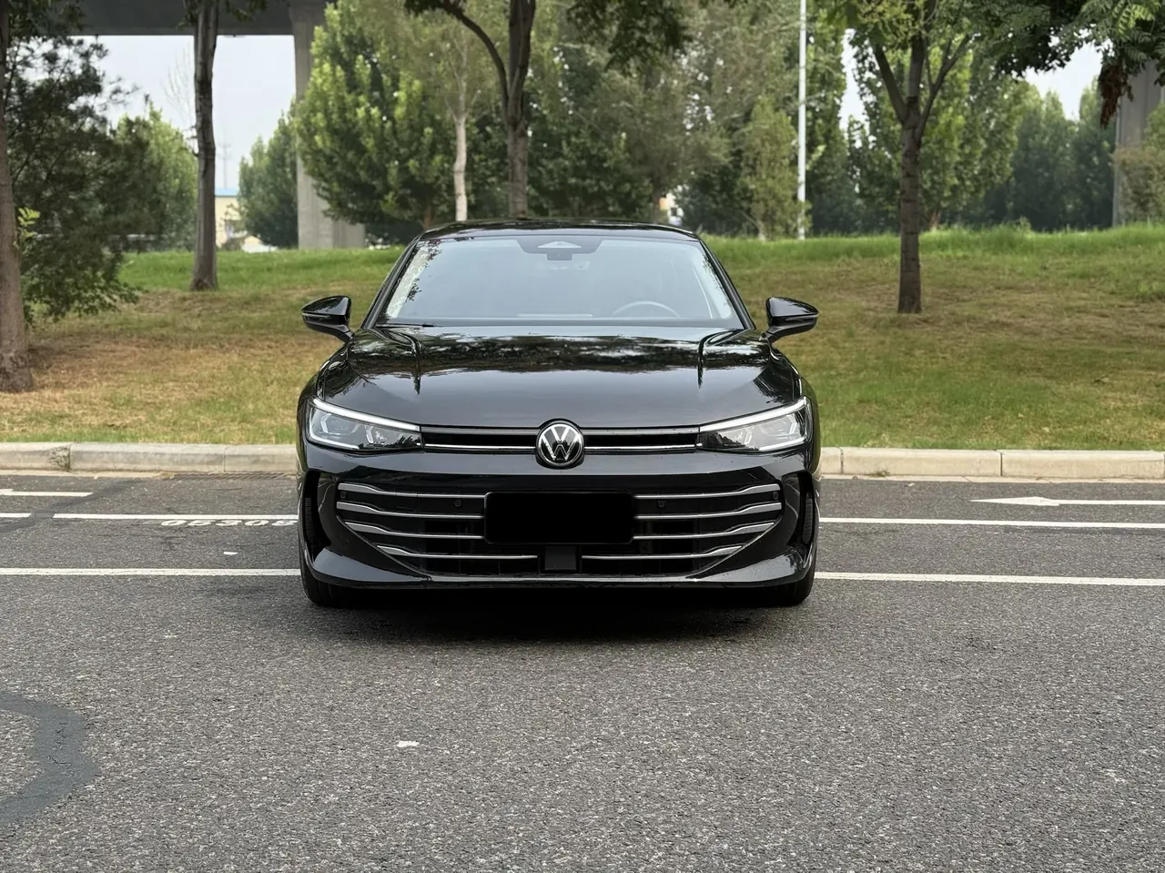 Volkswagen 2025 Passat Pro 2.0TSI 380TSI Long Yao Edition Automatic 2
