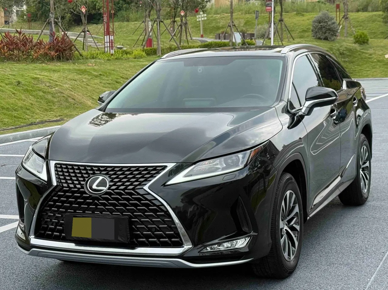 Lexus RX (Imported) 2020 RX300 2.0T Two-Drive Elite Edition (Revised) Automatic Gear - View 1