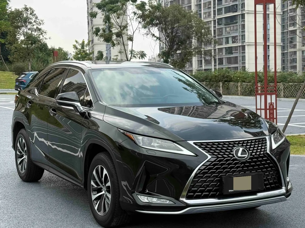 Lexus RX (Imported) 2020 RX300 2.0T Two-Drive Elite Edition (Revised) Automatic Gear 2