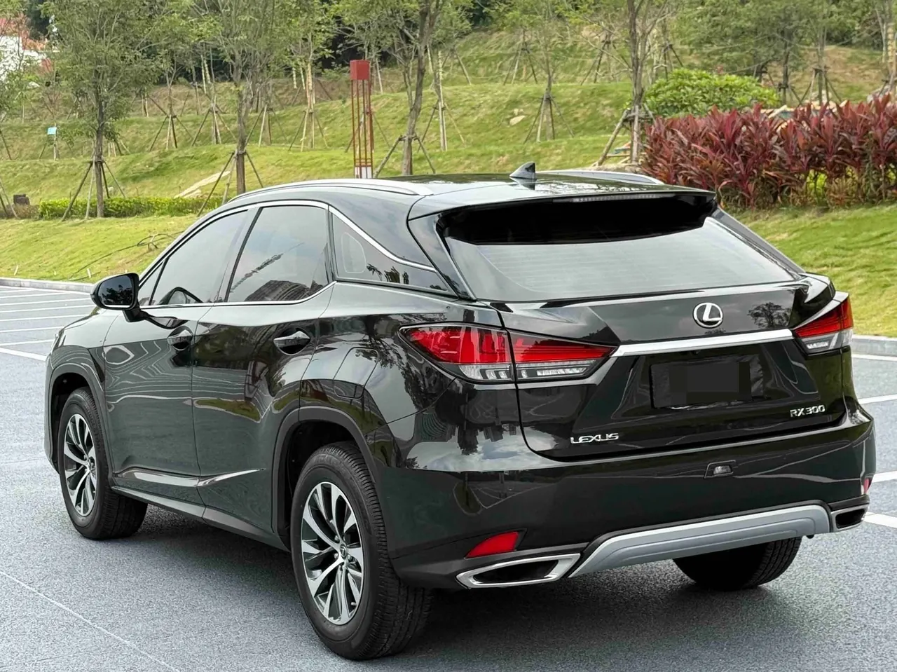 Lexus RX (Imported) 2020 RX300 2.0T Two-Drive Elite Edition (Revised) Automatic Gear 9