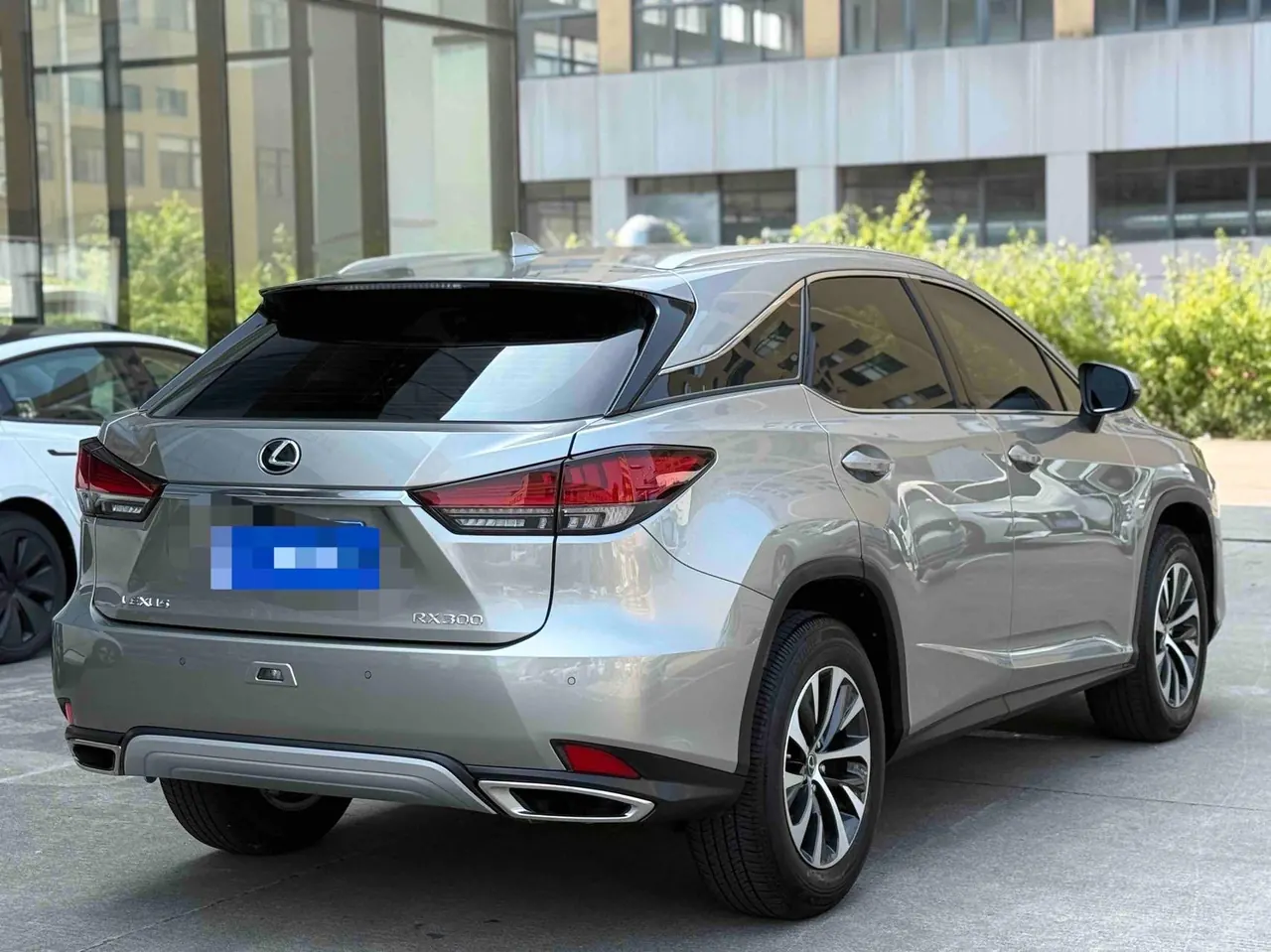 Lexus RX (Imported) 2020 RX300 2.0T Two-Drive Elite Automatic Gear 8