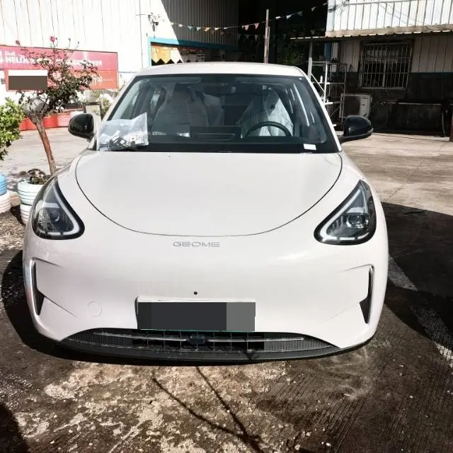 Geely 2026 Star Wish 410km Wind Edition Automatic Gear 2