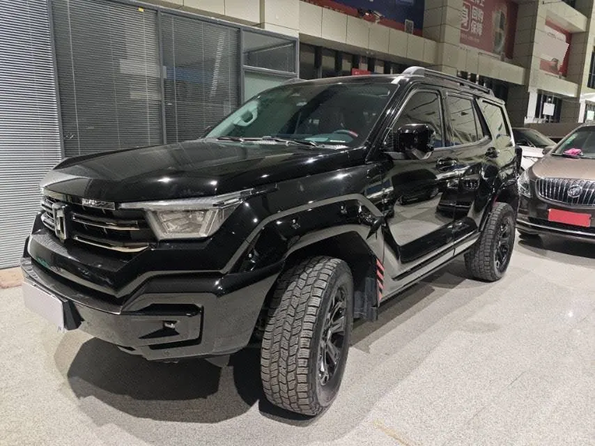 Tank 2024 Tank 400 Hi4-T 2.0T off-road version automatic gear - View 1